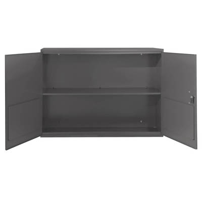 Wall Mount Cabinet with Fixed Shelves