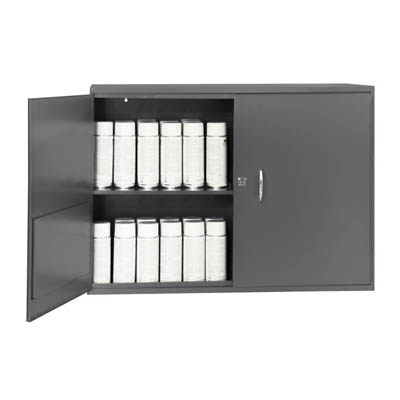 Wall Mount Cabinet , Slotted Shelves for Aersol Cans