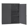 Wall Mount Cabinet, 2 Adjustable Shelves