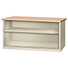 CW Series Sliding Door Cabinets Basic + Shelf Wood Top