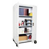 Transport Series Mobile Storage, 36"W, 3 Shelves - 9 Color Options