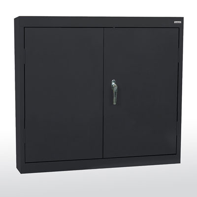 Solid Door Wall Cabinet - 2 Doors, 12" Deep