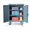 Counter Height Cabinet with Casters, 24"W x 20"D x 36"H